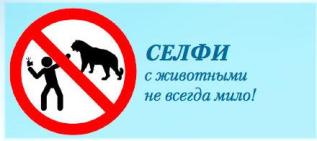 WitLoveKath - Selfies - animals