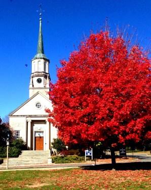 A fiery maple on the Connecticut College campus